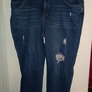 Jeans size 24 terra and sky